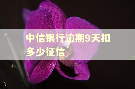 中信银行逾期9天扣多少征信