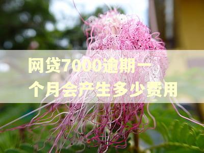 网贷7000逾期一个月会产生多少费用 网贷7000逾期一个月会产生多少费用