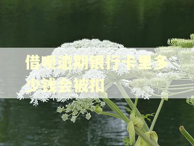 借呗逾期银行卡里多少钱会被扣