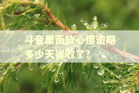 斗音里面放心借逾期多少天崔收了?