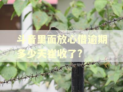 斗音里面放心借逾期多少天崔收了?