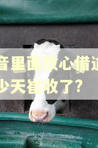 斗音里面放心借逾期多少天崔收了?
