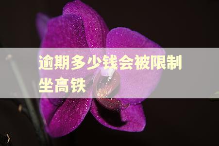 逾期多少钱会被限制坐高铁