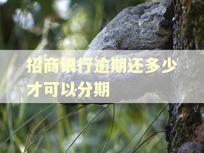 招商银行逾期还多少才可以分期