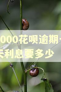 3000花呗逾期一天利息要多少