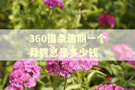 360借条逾期一个月罚息是多少钱 360借条逾期一个月罚息是多少钱