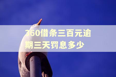 360借条三百元逾期三天罚息多少