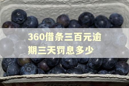 360借条三百元逾期三天罚息多少