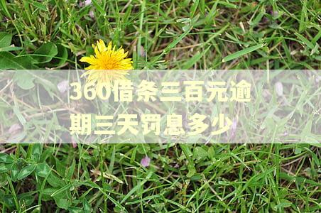 360借条三百元逾期三天罚息多少