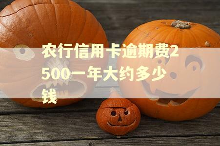 农行信用卡逾期费2500一年大约多少钱