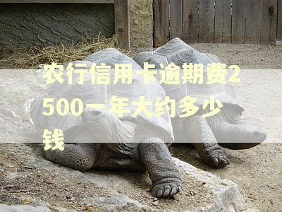 农行信用卡逾期费2500一年大约多少钱