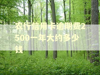 农行信用卡逾期费2500一年大约多少钱