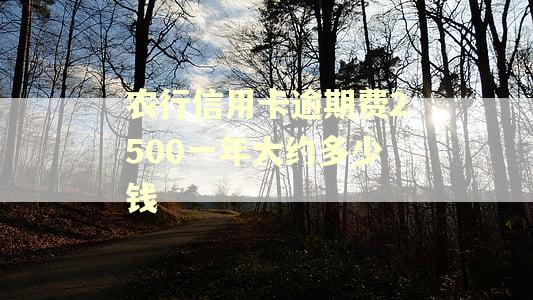 农行信用卡逾期费2500一年大约多少钱