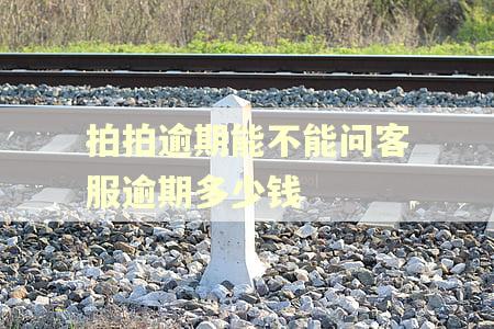 拍拍逾期能不能问客服逾期多少钱