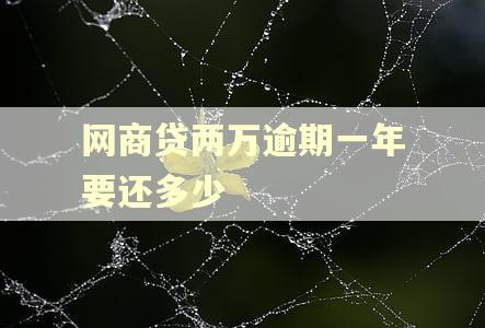 网商贷两万逾期一年要还多少