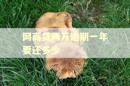网商贷两万逾期一年要还多少