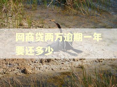 网商贷两万逾期一年要还多少 网商贷两万逾期一年要还多少
