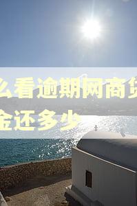 怎么看逾期网商贷的本金还多少