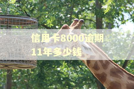 信用卡8000逾期11年多少钱