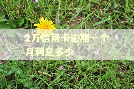 2万信用卡逾期一个月利息多少