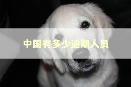 中国有多少逾期人员