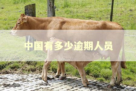 中国有多少逾期人员