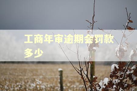 工商年审逾期会罚款多少