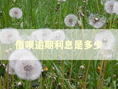 借呗逾期利息是多少