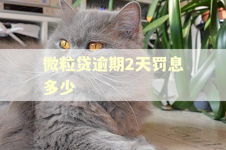 微粒贷逾期2天罚息多少