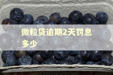 微粒贷逾期2天罚息多少