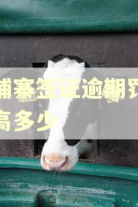 柬埔寨签证逾期罚款最高多少
