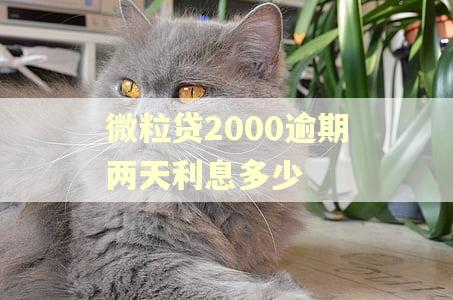 微粒贷2000逾期两天利息多少