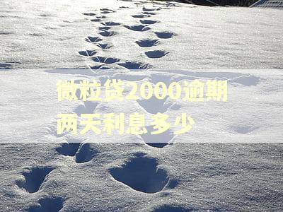 微粒贷2000逾期两天利息多少 微粒贷2000逾期两天利息多少