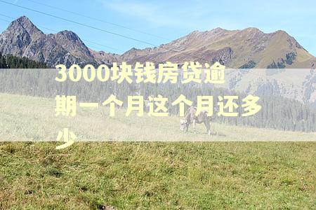 3000块钱房贷逾期一个月这个月还多少
