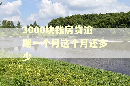 3000块钱房贷逾期一个月这个月还多少