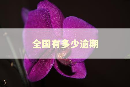 全国有多少逾期