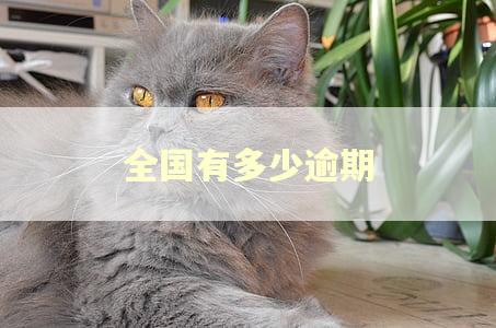 全国有多少逾期 全国有多少逾期