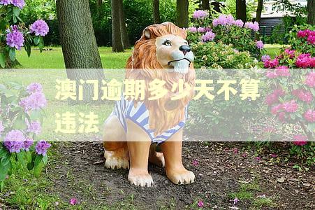 澳门逾期多少天不算违法