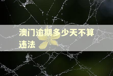 澳门逾期多少天不算违法