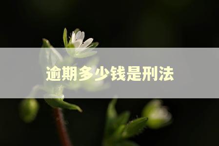 逾期多少钱是刑法