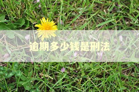 逾期多少钱是刑法