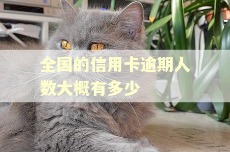 全国的信用卡逾期人数大概有多少