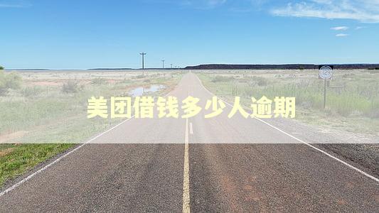 美团借钱多少人逾期 美团借钱多少人逾期