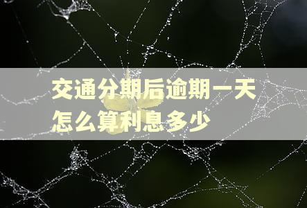 交通分期后逾期一天怎么算利息多少