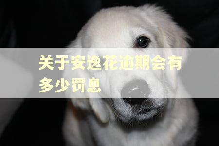 关于安逸花逾期会有多少罚息