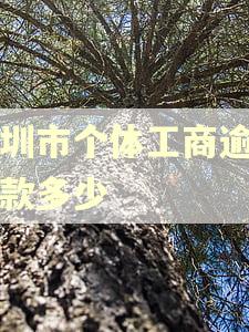 深圳市个体工商逾期罚款多少 深圳市个体工商逾期罚款多少