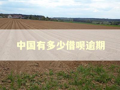 中国有多少借呗逾期