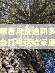 花呗备用金逾期多少天会打电话给家里人