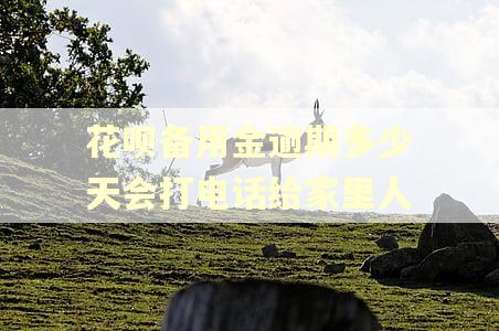 花呗备用金逾期多少天会打电话给家里人