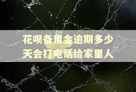 花呗备用金逾期多少天会打电话给家里人